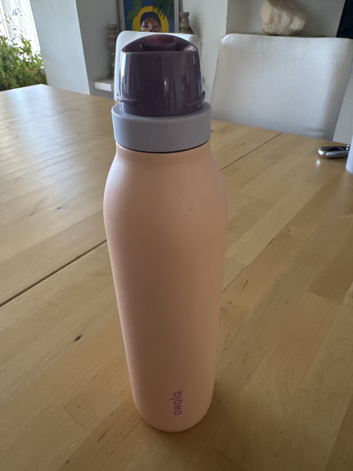Owala insulated water bottle, peach with purple lid